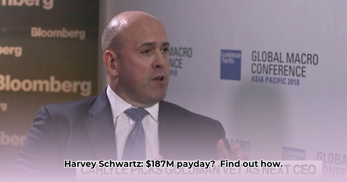 harvey-schwartz-net-worth